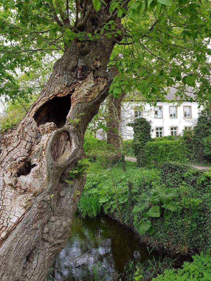 Ferienwohnung Varus Ostercappeln Eksteriør bilde